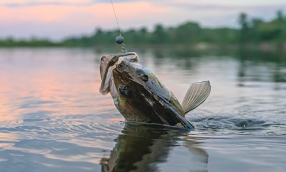Ilyen halat ne egyél, mert nagy baj lehet belőle