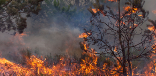 Tűzgyújtási tilalom van 6 vármegyében