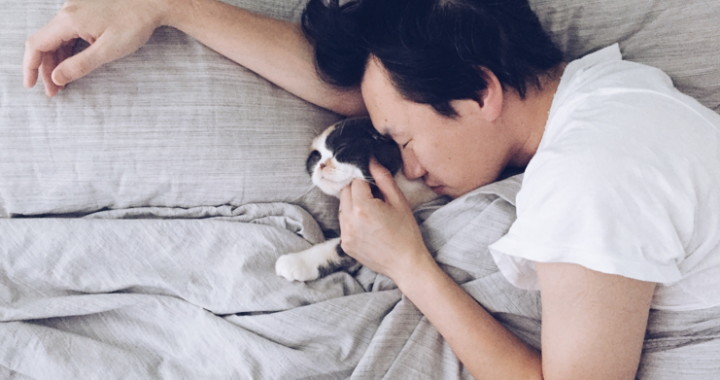 5 egyértelmű jele annak, hogy a macskád imád téged