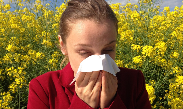 Tavaszi légúti allergia - 10 praktikus tipp a tünetek csökkentésére